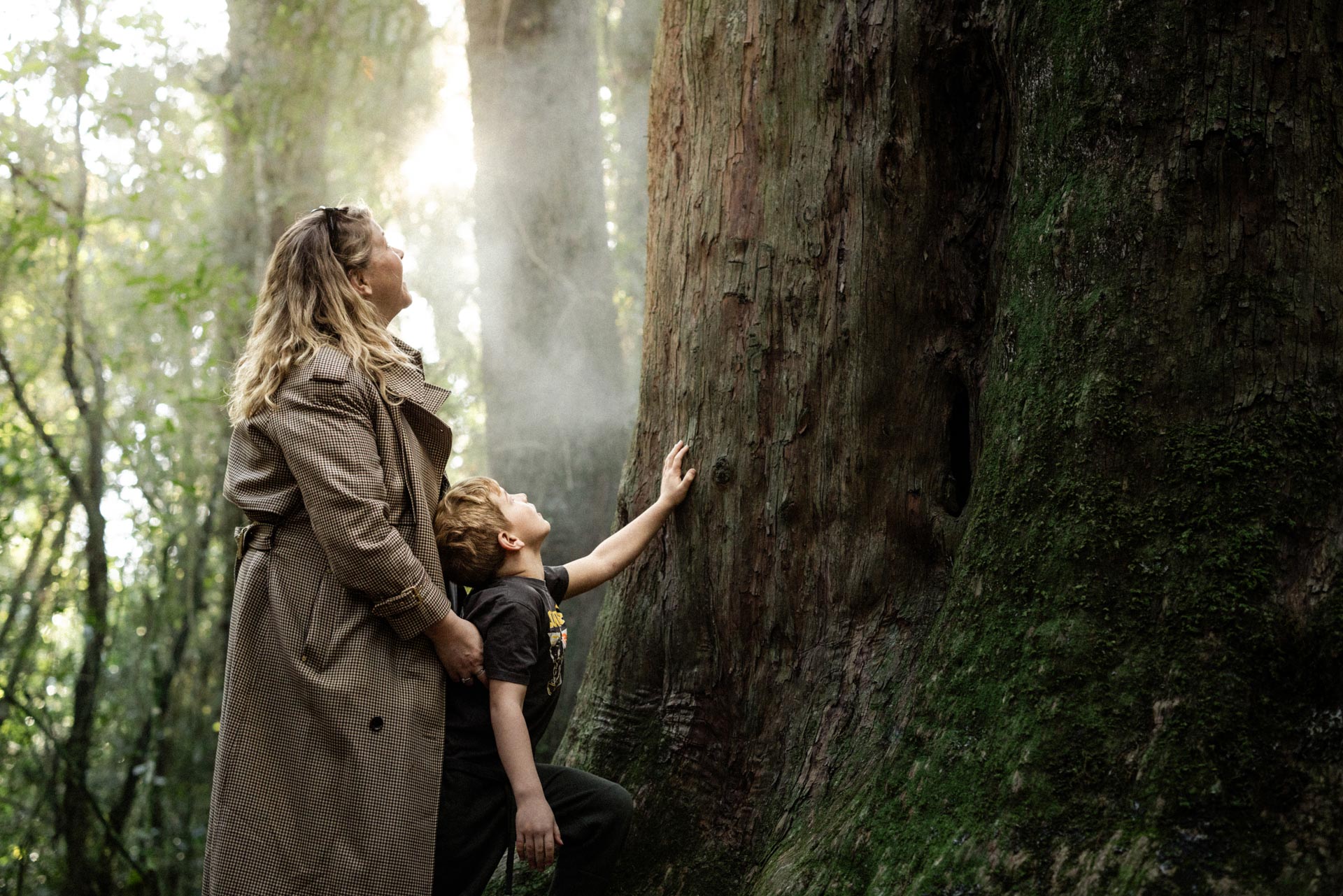 Mother and son marvelling at an ancient tōtara in Peel Forest