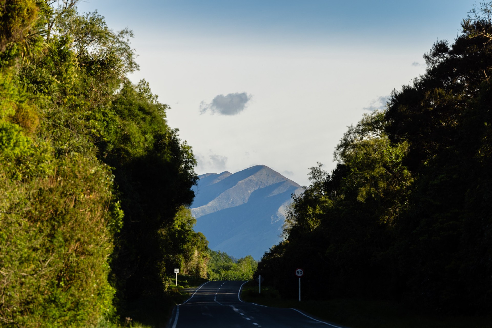 Quiet road framed by native bush leading toward the ranges near Peel Forest